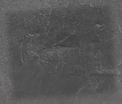 Kreuzkröten, Kammmolche und Insekten