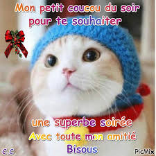 CHAT BONNET - PicMix