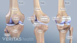 When i imagine a place where i would like to live, it seems to me that it is very quiet, it is a place where there are not very many people, most likely it is a it doesn't matter what the job is. How Age Affects Your Risk For A Meniscus Tear