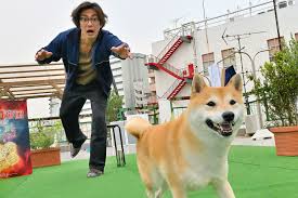 大東駿介、柴犬ドラマで新境地！俳優業を超えた絆とは？ - Imagen principal del artículo