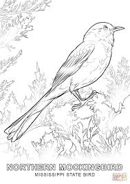 I hope you've had a happy one! Alabama State Bird Coloring Page Coloring Home