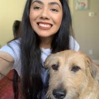 100+ "Valdez-pacheco" profiles