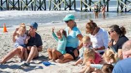 Wee Wild Ones: Bouncing Beachcombers