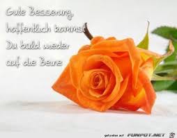 Gute Besserung Jpg Von Edith Get Well Soon Get Well Soon Flowers Get Well Card Messages