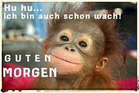 Hosted on ip address 178.63.8.84 in germany. Funpot Ein Pot Voller Spass Und Sehenswertem Smiling Animals Funny Animal Pictures Happy Animals