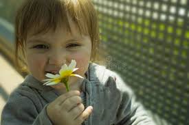 Toddler with a Daisy Flower and Girl Sniffing a Flower Stock Image