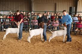 No physical gift card will be sent. Livestock Information Rules Forms