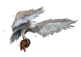 The roc indicator is plotted against zero, with the indicator moving upwards into positive territory if price changes are to the upside, and when the price is consolidating, the roc will hover near zero. Roc Novum Terram Wiki Fandom