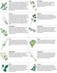Nice Herb Chart Print Laminate Garden Fresh Herbs