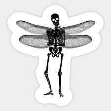 Stickers pack |200 pcs| vinyl waterproof stickers for laptop,skateboard,hydro flask,water bottles,computer,phone,guitar,funny aesthetic . Funny Skeleton Fairy Grunge Fairycore Aesthetic Gothic Look Skeleton Fairy Aesthetic Gothic Intorve Sticker Teepublic Uk