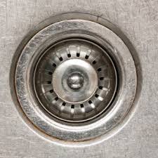 getting rid of drain flies thriftyfun