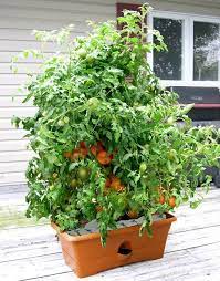 Terra Cotta 28 In W X 13 25 In D X 11 5 In H Grow Box Kit Gp01te01 The Home Depot Container Gardening Vegetables Self Watering Planter Tomato Planter