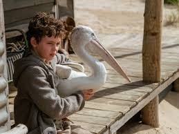 When michael kingley, a successful retired businessman starts to see images from his past that he can't explain, he's forced to remember his childhood and how, as a boy, he rescued and raised an extraordinary orphaned pelican, mr percival. Storm Boy Review Not Even A Beloved Pelican Can Save This Epic Downer Movies The Guardian