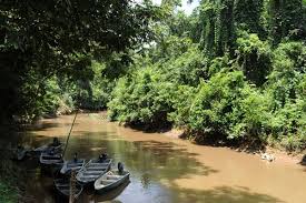 Info pelancongan , masakan dan makanan tradisi dari kuala lipis.dan pelbagai lagi dalam blog warga kuala lipis. Taman Rimba Kenong Tempat Menarik Di Kuala Lipis Pahang Tempat Menarik