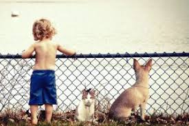 We did not find results for: Importance Of The Family Pet Animal Care Clinic