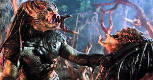 RÃ©sultat de recherche d'images pour "predators 2018"