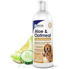 Oatmeal Shampoo For Dogs With Soothing Aloe Vera Suitable For All Pets With Cucumber Essence And Ri Oatmeal Dog Shampoo Oatmeal Shampoo Soothe Dry Itchy Skin