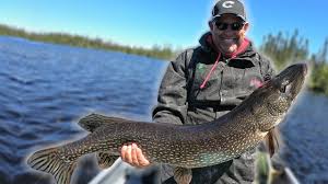 With the wobbling back and forth motion and the fixed single hook facing up, it cute through the weeds easily. John Shows Us His Favorite Weedless Pike Bait Youtube