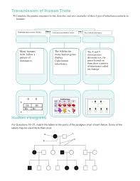 Human chromosomes there is 46 chromosomes in a normal human somatic cell. Chapter14worksheets