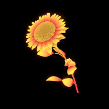 We did not find results for: Sunflower Gifs 95 Beautiful Gif Animations For Free