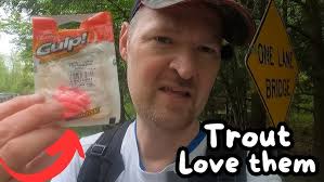 Trout Were Loving The Pinched Crawler (Brook, Brown, Rainbow) Trout Slam!