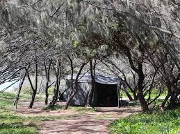 You can make this trip without a 4wd car, but it is a rough road. Beach Camping Zone 3 Poyungan And Winnam K Gari Fraser Island Great Sandy National Park Parks And Forests Department Of Environment And Science Queensland