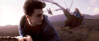 Harry can see them, but because his friends can't. Unidentified Thestrals Harry Potter Wiki Fandom