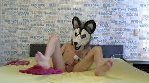 Husky si hraje s kostí