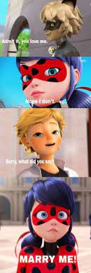 Pin On Fandom Miraculer