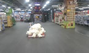 Une très belle course sur le thème de la piste proposée par le vc annemasse. Le Plus Grand Joueclub De France Est A Portet Sur Garonne Actu Toulouse