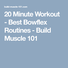 20 minute workout best bowflex routines build muscle 101