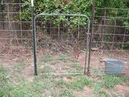 T Post Fence With Conduit Fence Wire Fence Welded Wire Fence T Post Fence