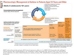 Color codes for inhaler enhancements. The 2019 Gina Guidelines For Asthma Treatment In Adults