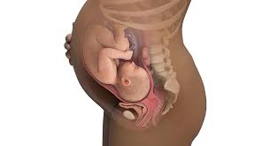 Ssw 39 Sie Sind 39 Wochen Schwanger Babycenter