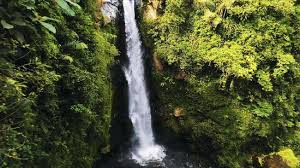 Work for a big/small company. Tips Wisata Berita Satu