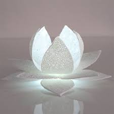 Lotus Light 3d Pen Creation Library 3d Pen Stencils 3d Pen 3d Pen Art