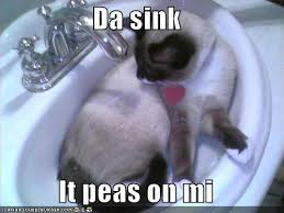 thing  kitchen sink edition