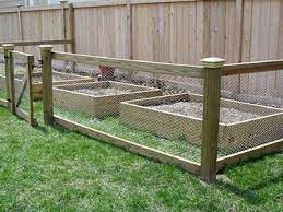 Galvanized chicken wire with 1/2 inch openings, 25 gauge, 2 m wide and 15 m length for chicken enclosure. Chicken Wire Mesh Used In Garden As Fence Raised Bed Trellis