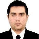 90+ "Joe Roldan" profiles