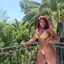 Rapper Megan Thee Stallions micro bikini battles to contain boobs in  red-hot display - Daily Star
