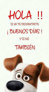 Foto animada | Good day quotes, Good morning images, Good morning messages