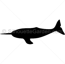 Narwhal Silhouette Download 353 narwhal silhouette stock illustrations, vectors & clipart for free or amazingly low rates! narwhal silhouette