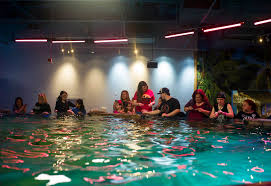 Seaquest Interactive Aquarium At The Boulevard Mall In Las Vegas On Friday April 14 2017 Miranda Alam Las Vegas Review Journal Miranda Alam Las Vegas Review Journal