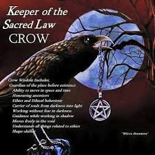 Pin By Beth Morgan On Just For Fun Crow Animal Totem Spirit Guides Animal Spirit Guides