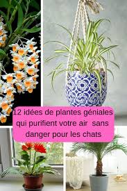 12 Plantes D Interieurs Qui Filtrent L Air De Votre Maison Plante Interieur Plante Idees Jardin