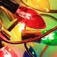 'Tis the Season in Winter Garden event in Winter Garden, FL