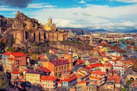 Image result for Stadmannia