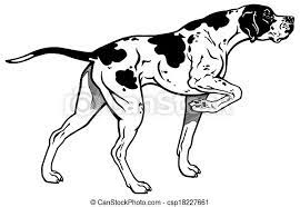 The pointer, also known as the english pointer, is a powerful hunting dog. English Pointer Black White English Pointer Hunting Dog Side View Black And White Illustration Canstock