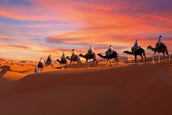 Come Organizzare un Viaggio in Marocco: Guida Esperti