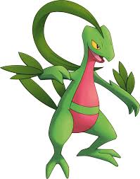 'the important thing is not how long you live. Grovyle Explorers Of Time Darkness And Sky Bulbapedia The Community Driven Pokemon Encyclopedia
